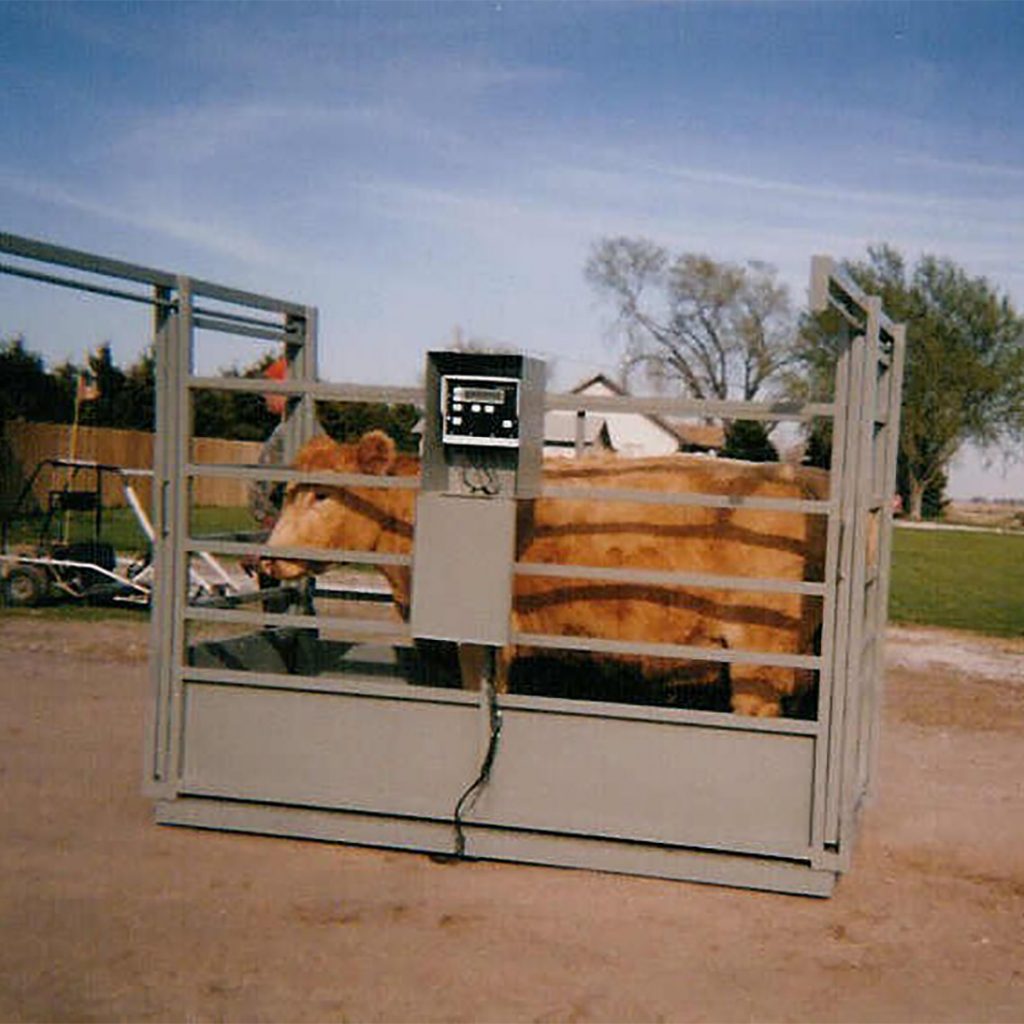 Livestock Scales